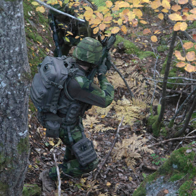 Snigel Specialist Backpack 30L – modulär insatsryggsäck, grå