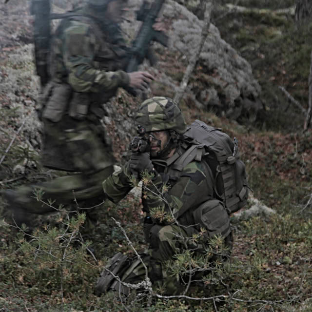Snigel Oyster Pouch Medium - Fällbar Organiseringsficka (Oliv)