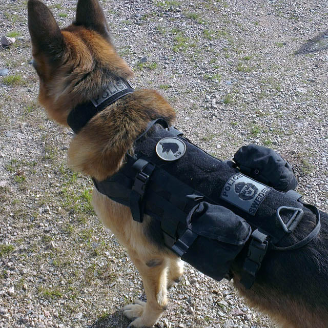 Snigel POLICE SWEDEN-märke 80 × 90 mm – Kardborremärke (Grå/Svart)